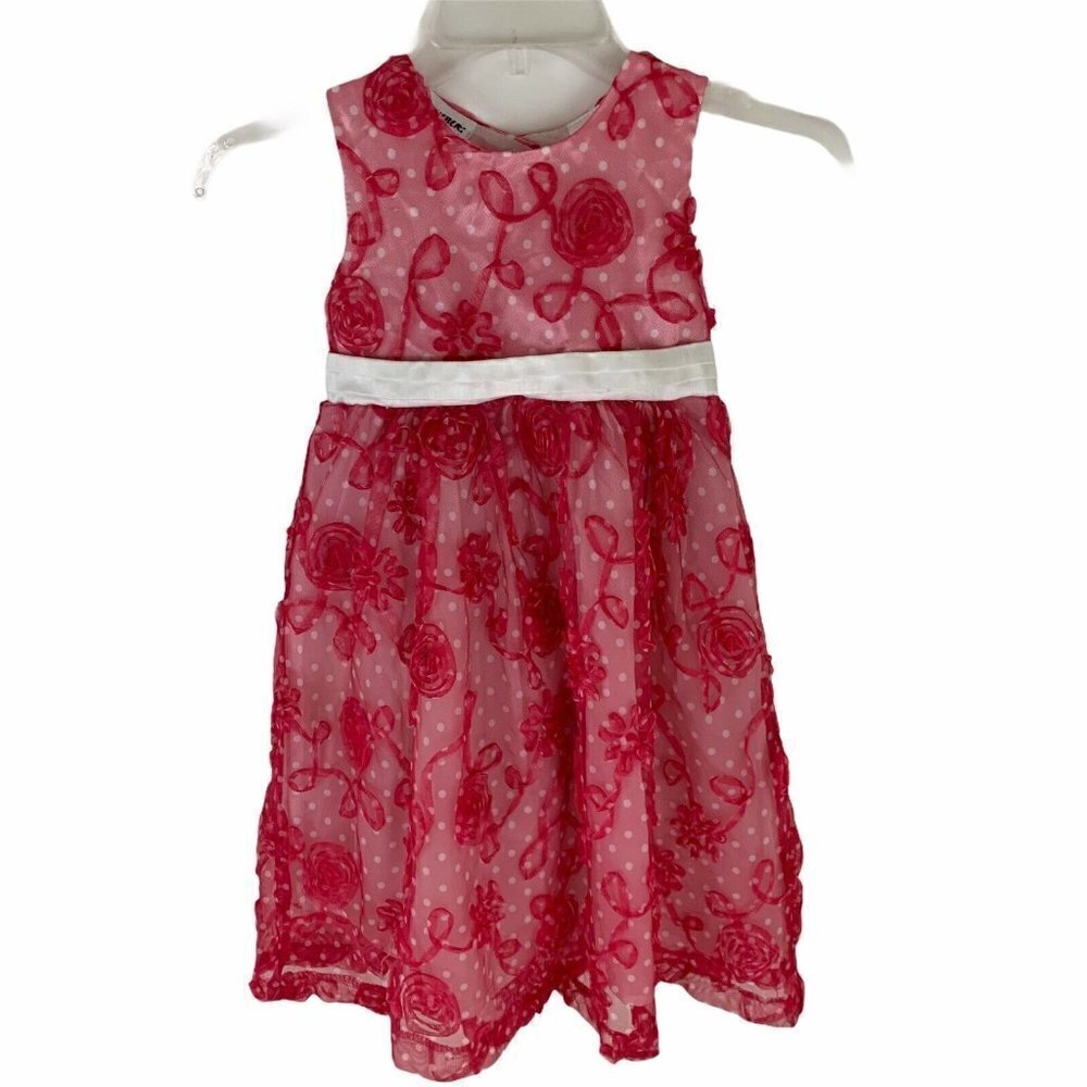 Blueberi Boulevard Girl's Size 6 Formal Dress Polka Dot Floral Applique